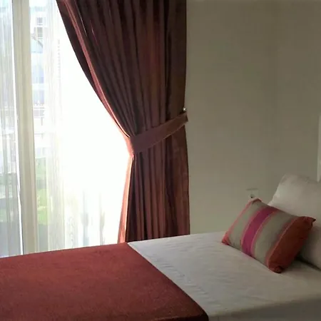 Tropicana Community And Are Very Popular And Guarantee A Wonderful シダ